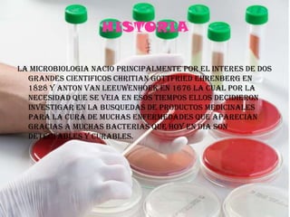 HISTORIA LA MICROBIOLOGIA NACIO PRINCIPALMENTE POR EL INTERES DE DOS GRANDES CIENTIFICOS CHRITIAN GOTTFRIED EHRENBERG EN 1828 Y ANTON VAN LEEUWENHOEK EN 1676 LA CUAL POR LA NECESIDAD QUE SE VEIA EN ESOS TIEMPOS ELLOS DECIDIERON INVESTIGAR EN LA BUSQUEDAS DE PRODUCTOS MEDICINALES PARA LA CURA DE MUCHAS ENFERMEDADES QUE APARECIAN GRACIAS A MUCHAS BACTERIAS QUE HOY EN DIA SON DETECTABLES Y CURABLES. 