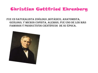 Christian Gottfried Ehrenberg fue un naturalista zoólogo ,botánico, anatomista, geólogo, y micros copista, alemán, fue uno de los más famosos y productivos científicos  de su época.