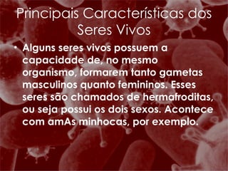Alguns seres vivos possuem a capacidade de, no mesmo organismo, formarem tanto gametas masculinos quanto femininos. Esses seres são chamados de hermafroditas, ou seja possui os dois sexos. Acontece com amAs minhocas, por exemplo.  Principais Características dos Seres Vivos 