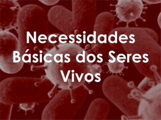 Necessidades Básicas dos Seres Vivos 