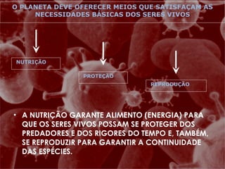 A NUTRIÇÃO GARANTE ALIMENTO (ENERGIA) PARA QUE OS SERES VIVOS POSSAM SE PROTEGER DOS PREDADORES E DOS RIGORES DO TEMPO E, TAMBÉM, SE REPRODUZIR PARA GARANTIR A CONTINUIDADE DAS ESPÉCIES. O PLANETA DEVE OFERECER MEIOS QUE SATISFAÇAM AS NECESSIDADES BÁSICAS DOS SERES VIVOS NUTRIÇÃO PROTEÇÃO REPRODUÇÃO 