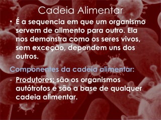 É a sequencia em que um organismo servem de alimento para outro. Ela nos demonstra como os seres vivos, sem exceção, dependem uns dos outros. Componentes da cadeia alimentar: Produtores:  são os organismos autótrofos e são a base de qualquer cadeia alimentar. Cadeia Alimentar 