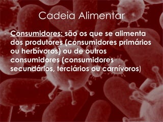 Consumidores:  são os que se alimenta dos produtores (consumidores primários ou herbívoros) ou de outros consumidores (consumidores secundários, terciários ou carnívoros ) Cadeia Alimentar 