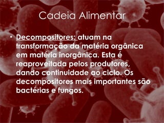 Decompositores:  atuam na transformação da matéria orgânica em matéria inorgânica. Esta é reaproveitada pelos produtores, dando continuidade ao ciclo. Os decompositores mais importantes são bactérias e fungos. Cadeia Alimentar 