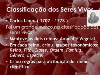 Carlos Lineu ( 1707 - 1778 ) Foi um grande marco na classificação dos seres vivos   Manteve os dois reinos: Animal e Vegetal Em   cada reino, criou  grupos taxonómicos:  Reino, Filo, Classe, Ordem, Família, Gênero, Espécie. Criou regras para atribuição do  nome científico Classificação dos Seres Vivos 