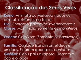 Reino:  Animalia ou Metazoa (todos os animais existentes na Terra); Filo:  Chordata (saíram os invertebrados);  Classe:   Mammalia(Somente os  mamíferos );  Ordem:  Carnívora (Somente os  carnívoros );  Família:   Canidae (saíram os felídeos e ursídeos. Ficaram apenas os  canídeos );  Gênero:  Canis (saiu a raposa. Ficaram o cão e o lobo)  Espécie:   Canis familiaris  (Saiu o lobo. Ficou o  cão ). Classificação dos Seres Vivos 