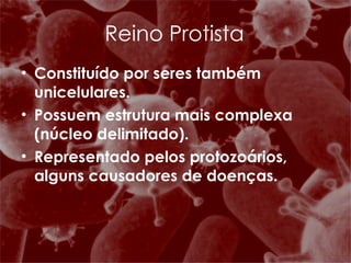 Reino Protista Constituído por seres também unicelulares. Possuem estrutura mais complexa (núcleo delimitado). Representado pelos protozoários, alguns causadores de doenças. 