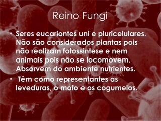 Reino Fungi Seres eucariontes uni e pluricelulares. Não são considerados plantas pois não realizam fotossintese e nem animais pois não se locomovem. Absorvem do ambiente nutrientes. Têm como representantes as leveduras, o mofo e os cogumelos. 