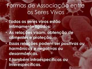Todos os seres vivos estão intimamente ligados. As relações visam: obtenção de alimentos e proteção. Essas relações podem ser  positivas ou harmônicas  e  negativas ou desarmônicas. E também intraespecíficas ou interespecíficas. Formas de Associação entre os Seres Vivos 