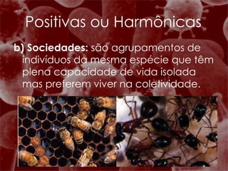 b) Sociedades:  são agrupamentos de indivíduos da mesma espécie que têm plena capacidade de vida isolada mas preferem viver na coletividade. Positivas ou Harmônicas 