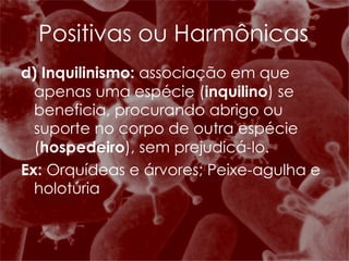 d) Inquilinismo:  associação em que apenas uma espécie ( inquilino ) se beneficia, procurando abrigo ou suporte no corpo de outra espécie ( hospedeiro ), sem prejudicá-lo. Ex:  Orquídeas e árvores; Peixe-agulha e holotúria Positivas ou Harmônicas 