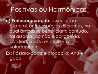 e) Protocooperação:  associação bilateral, entre espécies diferentes, na qual ambas se beneficiam; contudo, tal associação não é obrigatória, podendo cada espécie viver isoladamente. Ex:  Pássaro-palito e crocodilo; Anu e gado. Positivas ou Harmônicas 