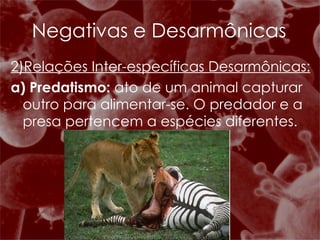 2)Relações Inter-específicas Desarmônicas: a) Predatismo:  ato de um animal capturar outro para alimentar-se. O predador e a presa pertencem a espécies diferentes. Negativas e Desarmônicas 
