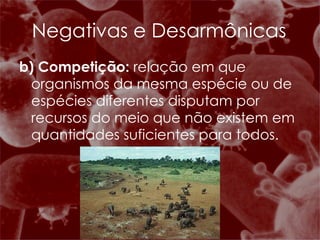 b) Competição:  relação em que organismos da mesma espécie ou de espécies diferentes disputam por recursos do meio que não existem em quantidades suficientes para todos. Negativas e Desarmônicas 