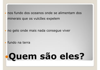 nos fundo dos oceanos onde se alimentam dos
minerais que os vulcões expelem


no gelo onde mais nada consegue viver


fundo na terra




Quem são eles?
 