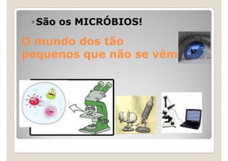 ◦ São os MICRÓBIOS!

O mundo dos tão
pequenos que não se vêm
 