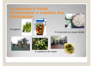 Os legumes e frutos
fermentados: o trabalho dos
MICRÓBIOS!


O pepino
                            O chucrute ou couve ácida




            A azeitona de mesa
 