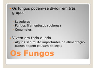 Os fungos podem-se dividir em três
grupos

◦ Leveduras
◦ Fungos filamentosos (bolores)
◦ Cogumelos

Vivem em todo o lado
◦ Alguns são muito importantes na alimentação,
  outros podem causam doenças

Os Fungos
 