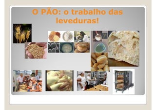 O PÃO: o trabalho das
     leveduras!
 