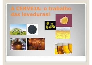 A CERVEJA: o trabalho
das leveduras!
 