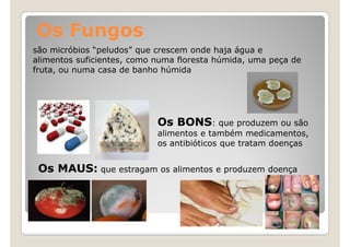 Os Fungos
são micróbios “peludos” que crescem onde haja água e
alimentos suficientes, como numa floresta húmida, uma peça de
fruta, ou numa casa de banho húmida




                            Os BONS: que produzem ou são
                            alimentos e também medicamentos,
                            os antibióticos que tratam doenças


 Os MAUS: que estragam os alimentos e produzem doença
 