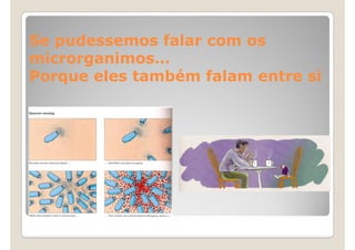 Se pudessemos falar com os
microrganimos…
microrganimos…
Porque eles também falam entre si
 
