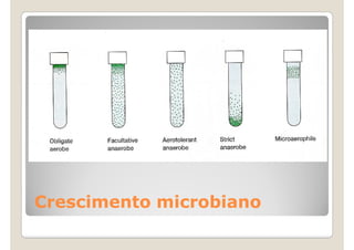 Crescimento microbiano
 