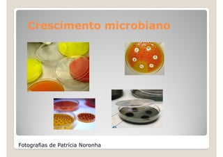 Crescimento microbiano




Fotografias de Patrícia Noronha
 
