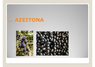 … AZEITONA
 