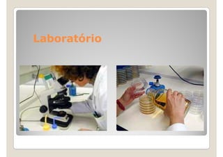 Laboratório
 