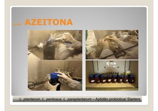 … AZEITONA




 L. plantarum, L. pentosus, L. paraplantarum – Aptidão probiotica/ Starters
 
