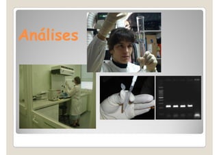 Análises



           107
           bp
 