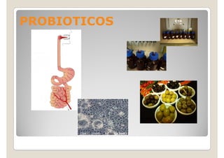 PROBIOTICOS
 
