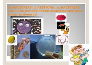 As BACTÉRIAS da AZEITONA, as BACTÉRIAS
LÁCTICAS também fazem medicamentos para
tratar as doenças!
 