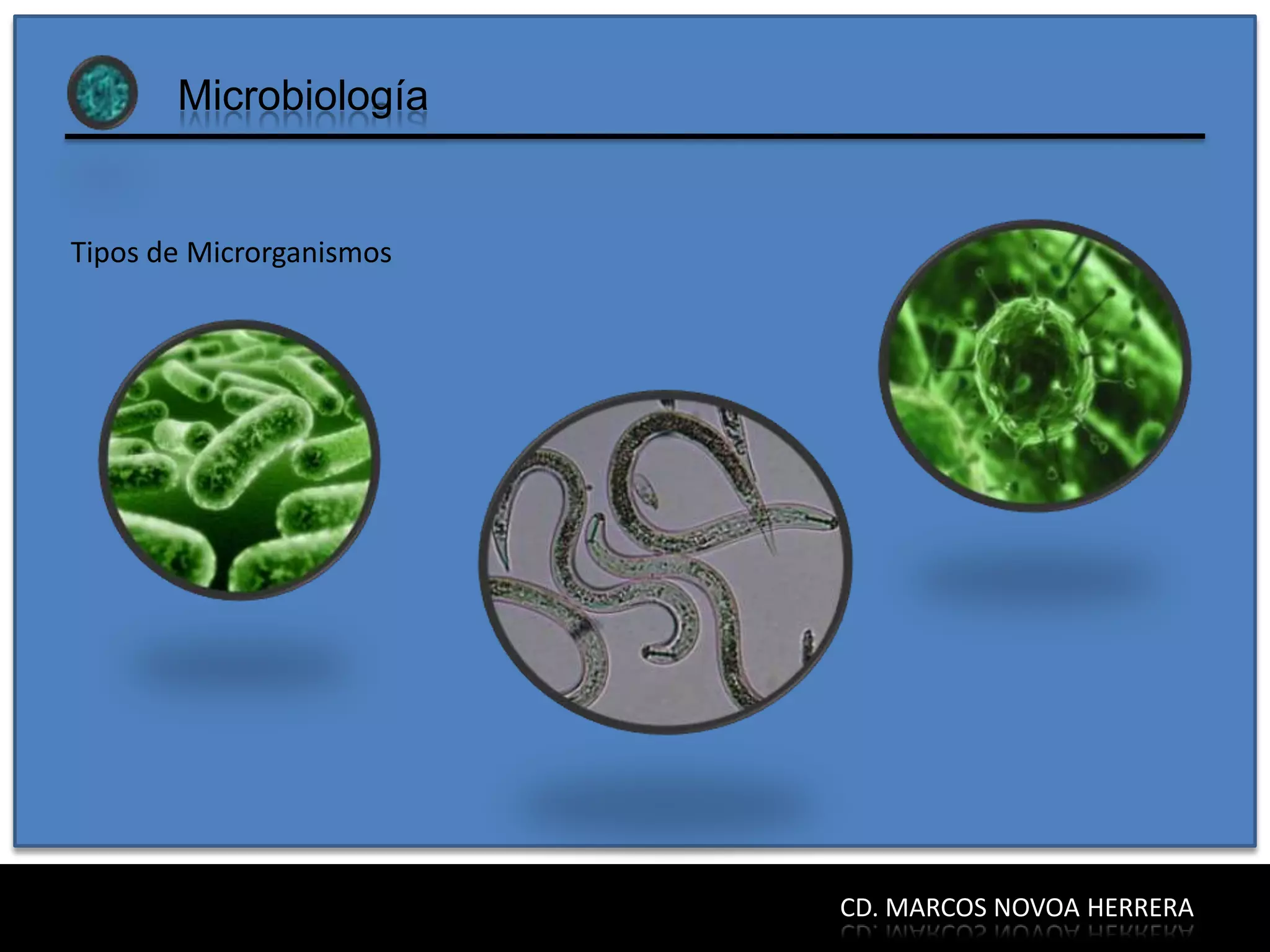 Microbiología


Tipos de Microrganismos




                          CD. MARCOS NOVOA HERRERA
 
