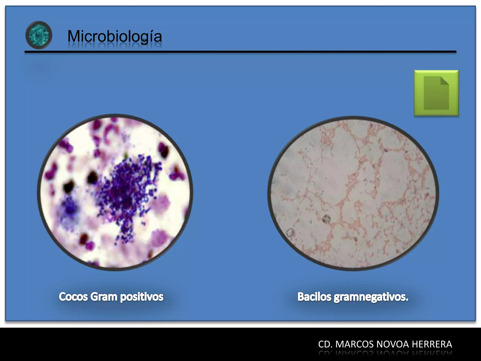 Microbiología




                CD. MARCOS NOVOA HERRERA
 