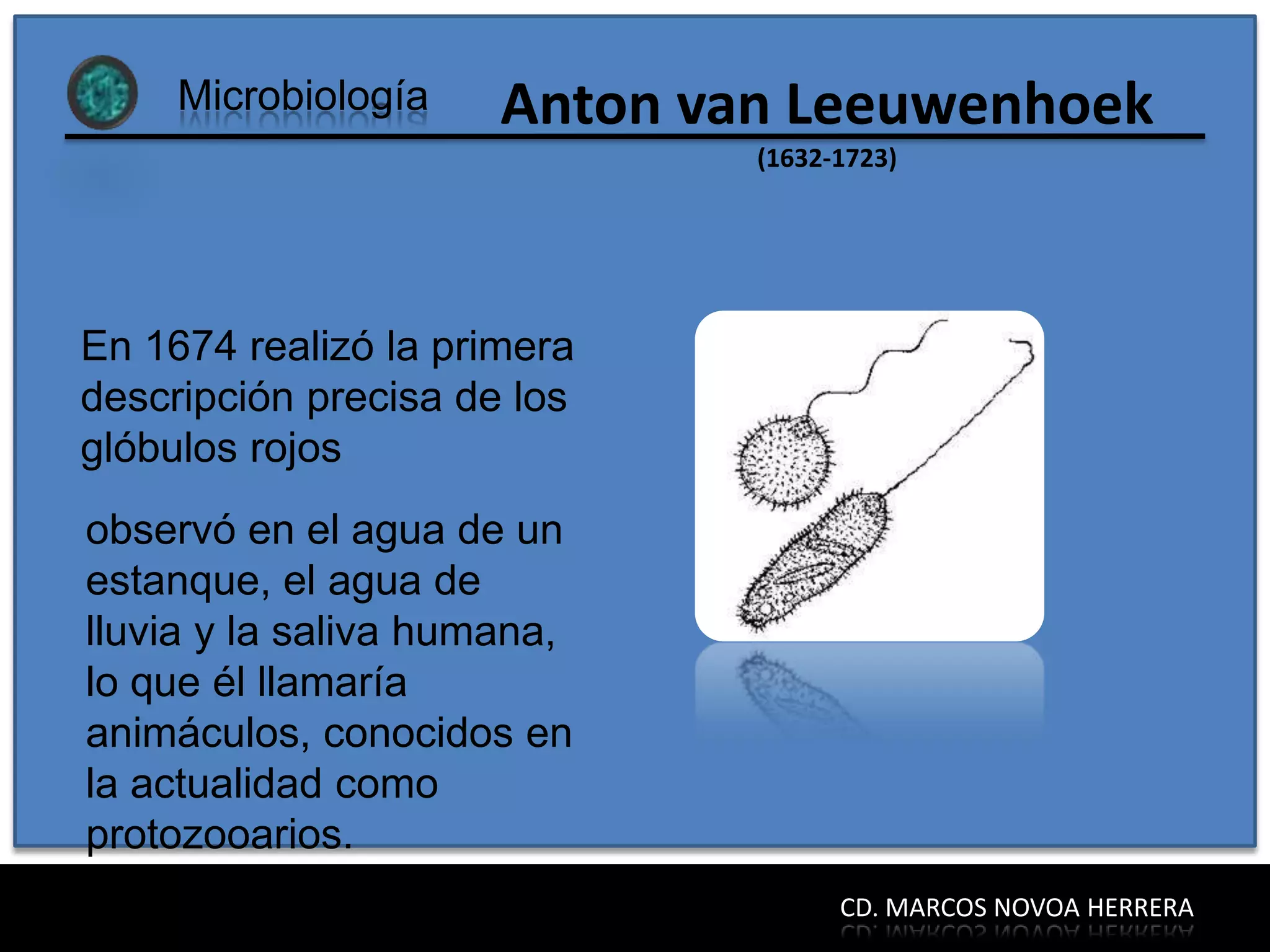 Microbiología    Anton van Leeuwenhoek
                              (1632-1723)




En 1674 realizó la primera
descripción precisa de los
glóbulos rojos
observó en el agua de un
estanque, el agua de
lluvia y la saliva humana,
lo que él llamaría
animáculos, conocidos en
la actualidad como
protozooarios.
                                    CD. MARCOS NOVOA HERRERA
 