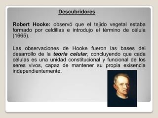 Descubridores

Robert Hooke: observó que el tejido vegetal estaba
formado por celdillas e introdujo el término de célula
(1665).

Las observaciones de Hooke fueron las bases del
desarrollo de la teoría celular, concluyendo que cada
células es una unidad constitucional y funcional de los
seres vivos, capaz de mantener su propia exisencia
independientemente.
 