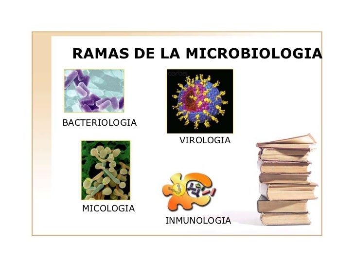 Microbiologia
