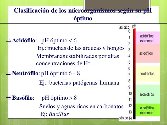 Microbiologia