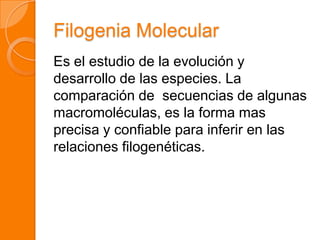 Filogenia Molecular
Es el estudio de la evolución y
desarrollo de las especies. La
comparación de secuencias de algunas
macromoléculas, es la forma mas
precisa y confiable para inferir en las
relaciones filogenéticas.
 