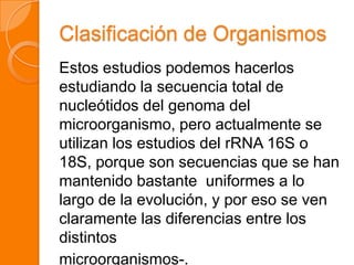 Clasificación de Organismos
Estos estudios podemos hacerlos
estudiando la secuencia total de
nucleótidos del genoma del
microorganismo, pero actualmente se
utilizan los estudios del rRNA 16S o
18S, porque son secuencias que se han
mantenido bastante uniformes a lo
largo de la evolución, y por eso se ven
claramente las diferencias entre los
distintos
microorganismos-.
 