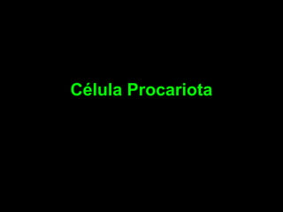 Célula Procariota

 