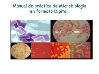 Manual de práctica de Microbiología
en formato Digital
 