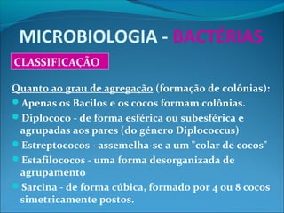 MICROBIOLOGIA - BACTÉRIAS
Quanto ao grau de agregação (formação de colônias):
Apenas os Bacilos e os cocos formam colônias.
Diplococo - de forma esférica ou subesférica e
agrupadas aos pares (do género Diplococcus)
Estreptococos - assemelha-se a um "colar de cocos"
Estafilococos - uma forma desorganizada de
agrupamento
Sarcina - de forma cúbica, formado por 4 ou 8 cocos
simetricamente postos.
CLASSIFICAÇÃO
 