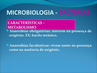 MICROBIOLOGIA - BACTÉRIAS
CARACTERÍSTICAS –
METABOLISMO
Anaeróbias obrigatórias: morrem na presença de
oxigênio. EX: bacilo tetânico.
Anaeróbias facultativas: vivem tanto na presença
como na ausência de oxigênio.
 
