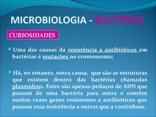 MICROBIOLOGIA - BACTÉRIAS
CURIOSIDADES
Uma das causas da resistência a antibióticos em
bactérias é mutações no cromossoma;
Há, no entanto, outra causa, que são as estruturas
que existem dentro das bactérias chamadas
plasmídeos. Estes são apenas pedaços de ADN que
passam de uma bactéria para outra e contêm
muitas vezes genes resistentes a antibióticos que
passam essa resistência a outras que a continham.
 