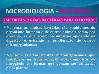 MICROBIOLOGIA - BACTÉRIAS
No entanto, muitas bactérias são simbiontes do
organismo humano e de outros animais como, por
exemplo, as que vivem no intestino ajudando na
digestão e evitando a proliferação de outros
microorganismos;
No solo existem muitos microorganismos que
trabalham na transformação dos compostos de
nitrogênio em formas que possam ser utilizadas
pelas plantas.
IMPORTÂNCIA DAS BACTÉRIAS PARA O HOMEM
 