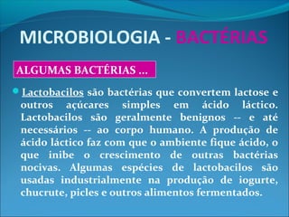 MICROBIOLOGIA - BACTÉRIAS
Lactobacilos são bactérias que convertem lactose e
outros açúcares simples em ácido láctico.
Lactobacilos são geralmente benignos -- e até
necessários -- ao corpo humano. A produção de
ácido láctico faz com que o ambiente fique ácido, o
que inibe o crescimento de outras bactérias
nocivas. Algumas espécies de lactobacilos são
usadas industrialmente na produção de iogurte,
chucrute, picles e outros alimentos fermentados.
ALGUMAS BACTÉRIAS ...
 