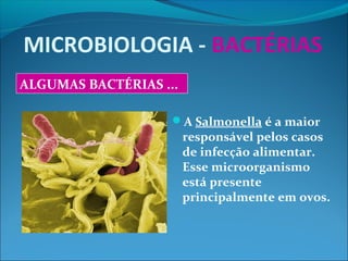 MICROBIOLOGIA - BACTÉRIAS
A Salmonella é a maior
responsável pelos casos
de infecção alimentar.
Esse microorganismo
está presente
principalmente em ovos.
ALGUMAS BACTÉRIAS ...
 